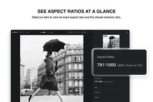 View each item’s exact aspect ratio and closest common ratio, making it easier to choose generation or cropping sizes for images, videos, and animated files.