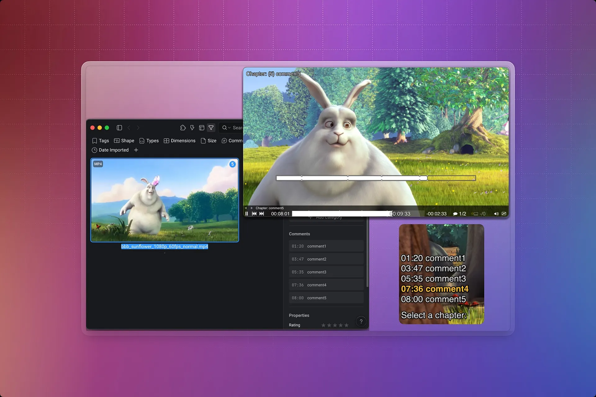 This plugin exports video comments from the Eagle app as chapters. It enables a video player based on mpv to load the video comments input in Eagle as chapters and play the video accordingly.