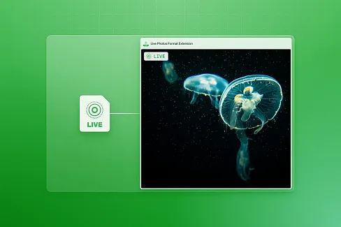 Effortlessly preview Live Photos (LIVP) and enjoy an interactive browsing experience with thumbnail support and double-click preview.