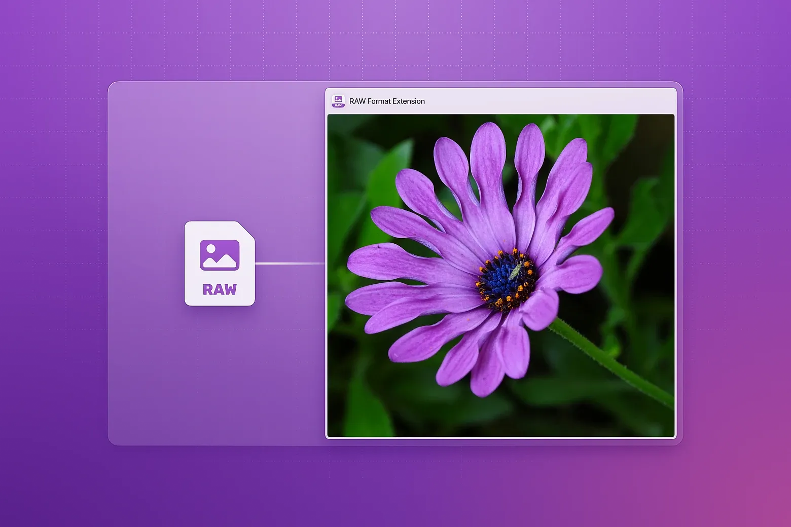 Easily preview and manage popular RAW file formats in Eagle, allowing you to quickly inspect your original camera images.