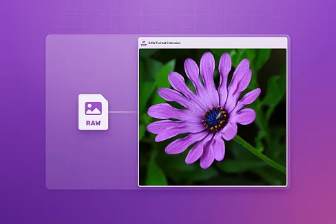 Easily preview and manage popular RAW file formats in Eagle, allowing you to quickly inspect your original camera images.