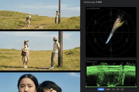 在 Eagle 中复刻达芬奇级色彩监视器，集成矢量示波器与 RGB 波形图，精准分析色彩与曝光。